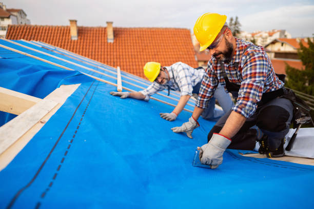 Best Roof Maintenance Services  in Sand Lake, MI